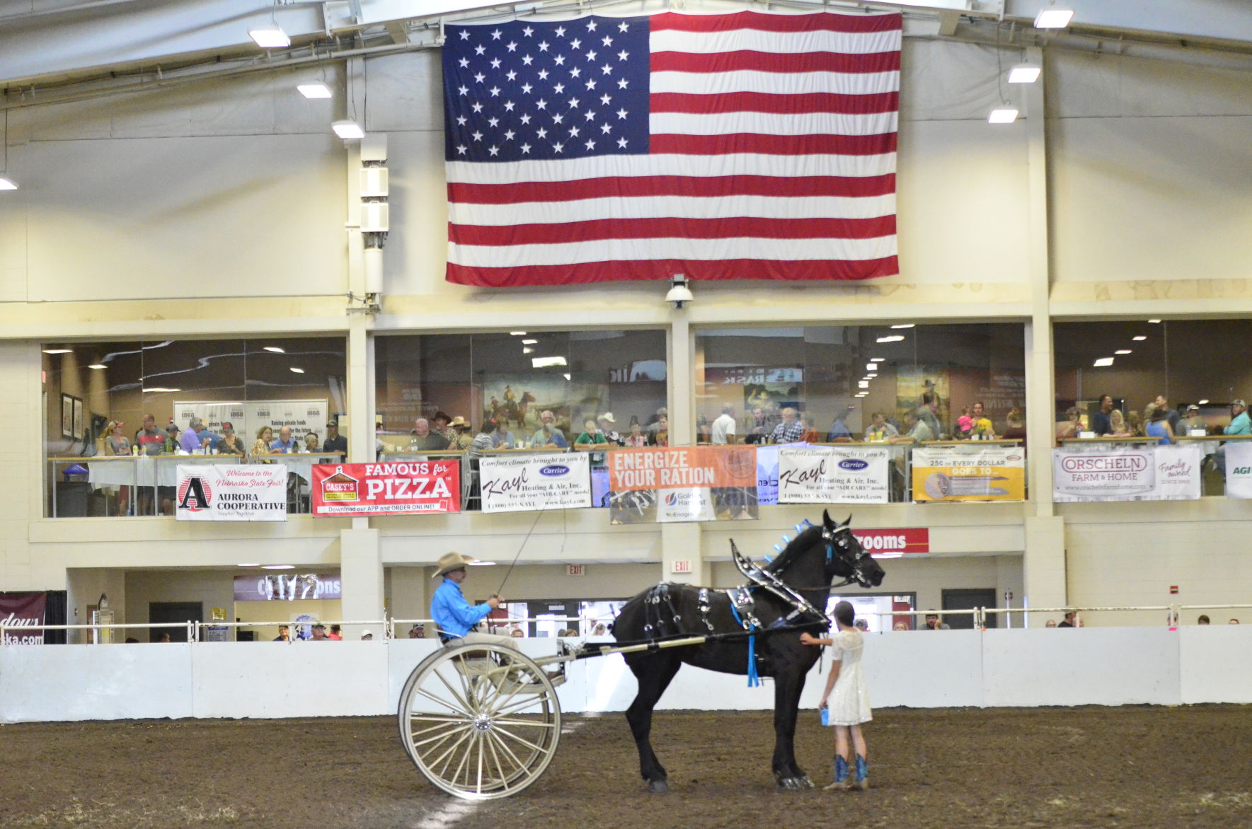 8-25-19 Draft Horse Hitch Final (43).JPG